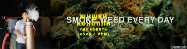 гидропоника Бородино