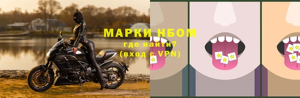 гидропоника Бородино