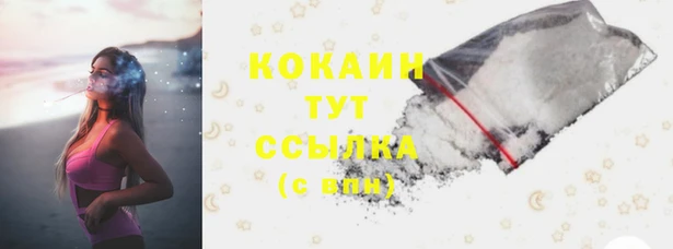гидропоника Бородино