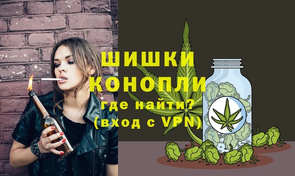 гидропоника Бородино