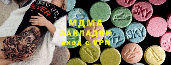 молекула духа Снежногорск