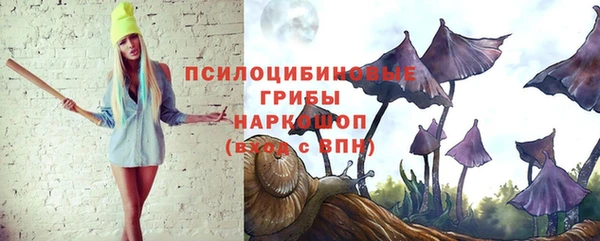 соль ск Снежинск
