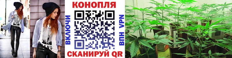 Конопля индика  даркнет сайт  Ростов-на-Дону 